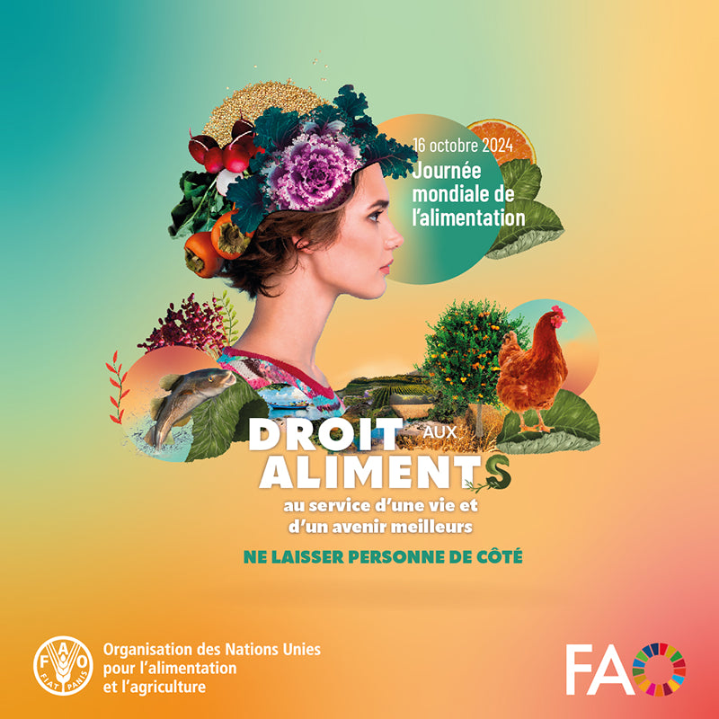 Journée Mondiale de l'Alimentation : Célébrons la Richesse de la Cuisine Méditerranéenne !